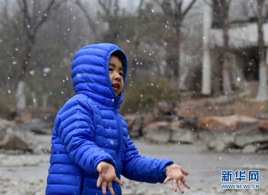 （環境）（1）北京迎來春雪