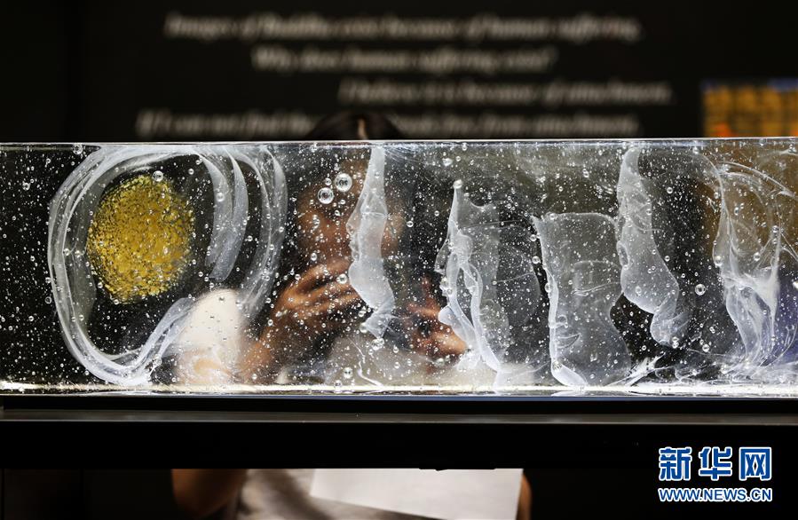 （国际&middot;一周看天下）琉璃艺术展