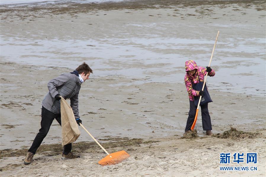 （国际&middot;图文互动）（2）爱沙尼亚首都环保行动让城市焕发光彩