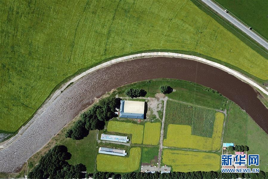 （生态）（1）高原菜花香