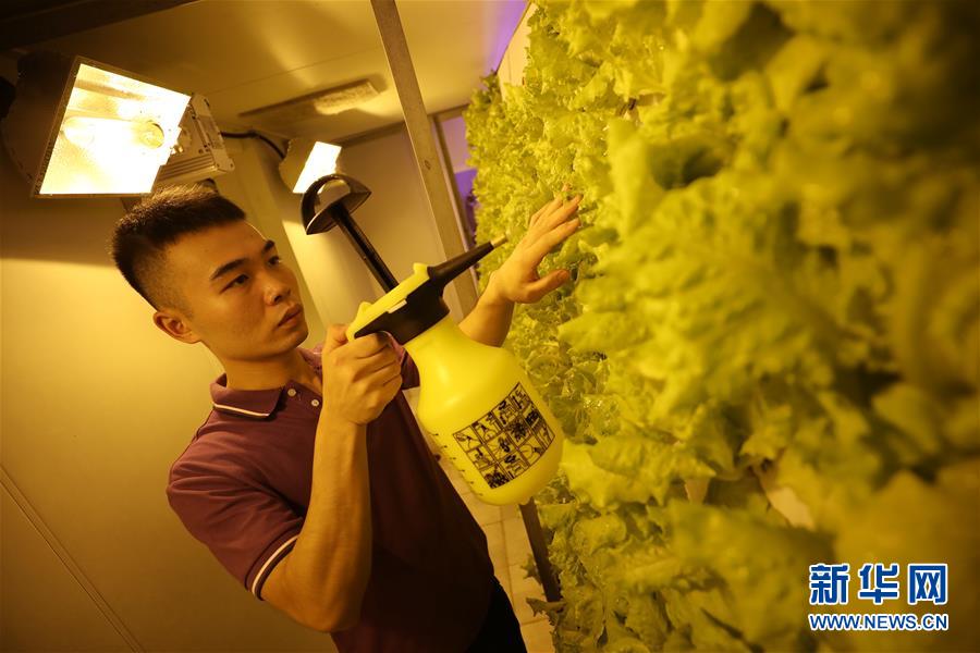 （图片故事）（10）深蓝逐梦——波峰浪谷间的“远望”