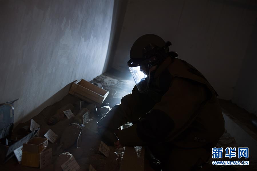 （图片故事）（6）烈日下的排爆玫瑰