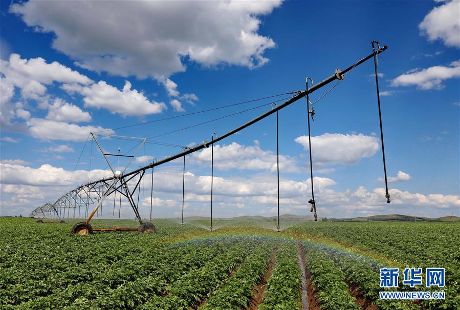 （經濟）（1）節水灌溉助推現代農業發展