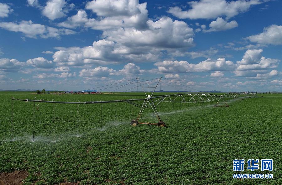 （经济）（2）节水灌溉助推现代农业发展