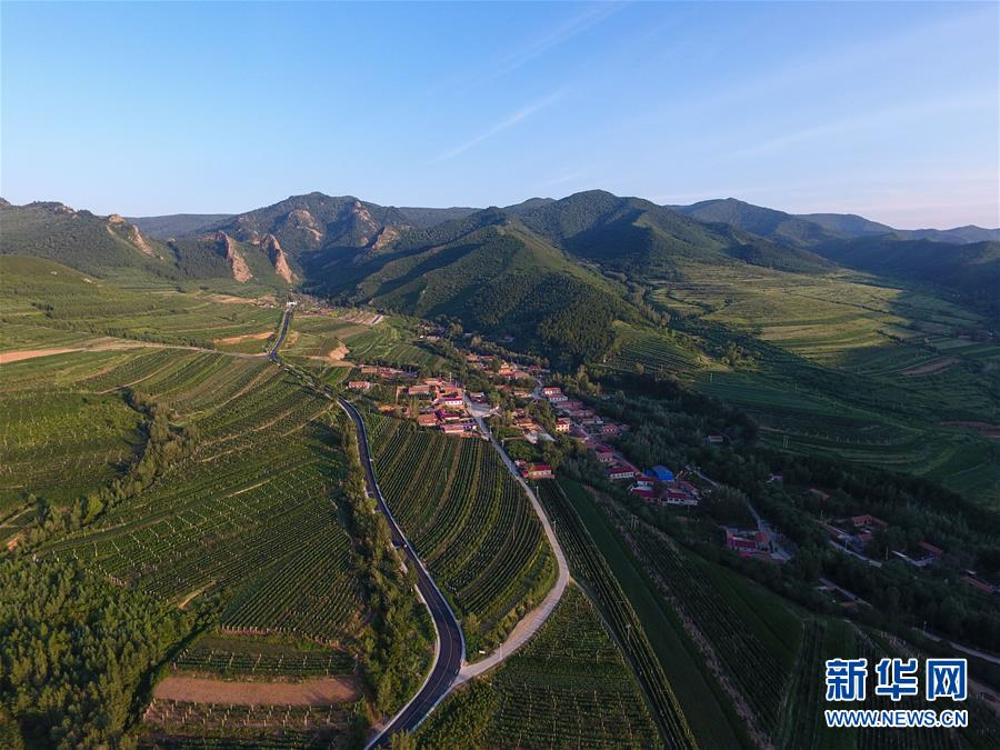 （图文互动）（1）内蒙古马鞍山村：生态兴农为乡村振兴注入新动力