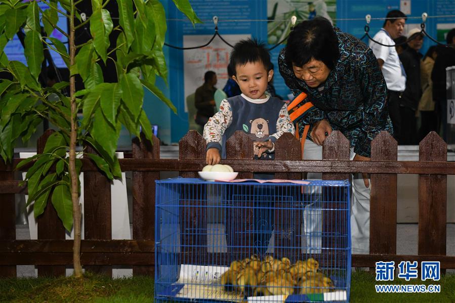 （經濟）（2）合肥：精彩紛呈農交會