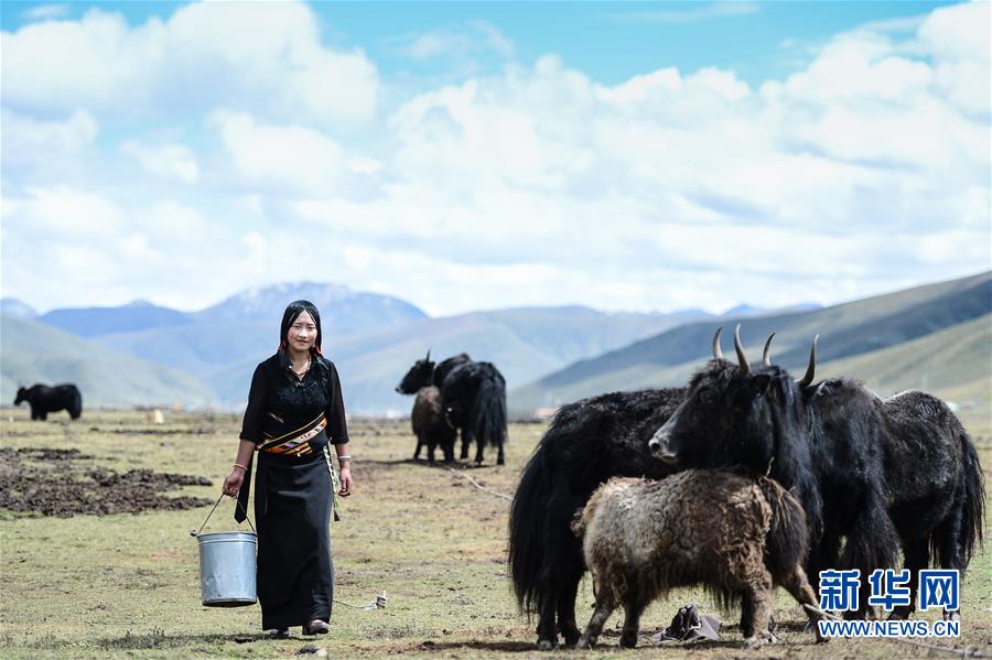 （新华全媒头条·决战决胜脱贫攻坚·图文互动）（3）在青山绿水间跨越千年——青海探索生态脱贫之路报告