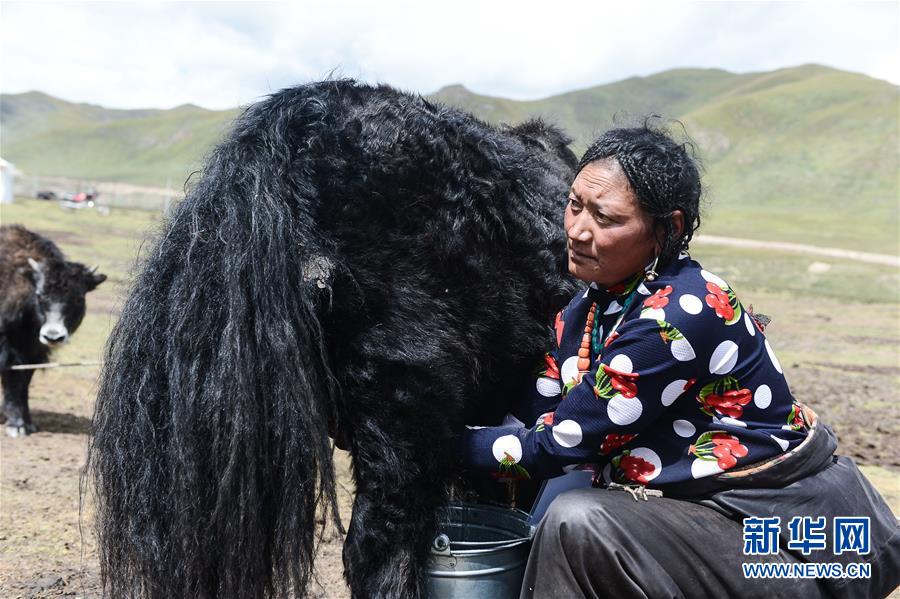 （新华全媒头条·决战决胜脱贫攻坚·图文互动）（4）在青山绿水间跨越千年——青海探索生态脱贫之路报告