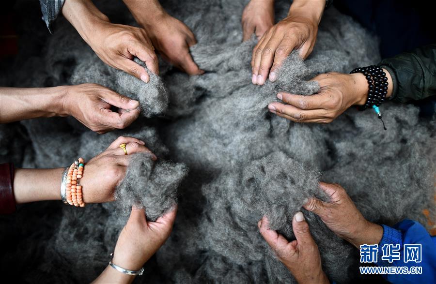 （新华全媒头条·决战决胜脱贫攻坚·图文互动）（8）在青山绿水间跨越千年——青海探索生态脱贫之路报告