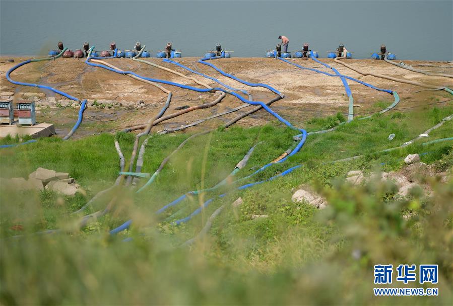 （社会）（1）江西南昌：抗旱保供水