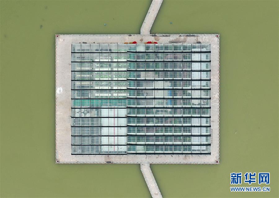 （社会）（2）山东无棣：高效农业展风采