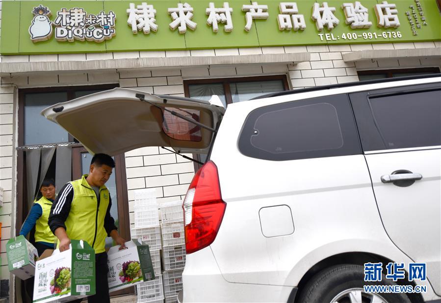 （社会）（6）山东无棣：高效农业展风采