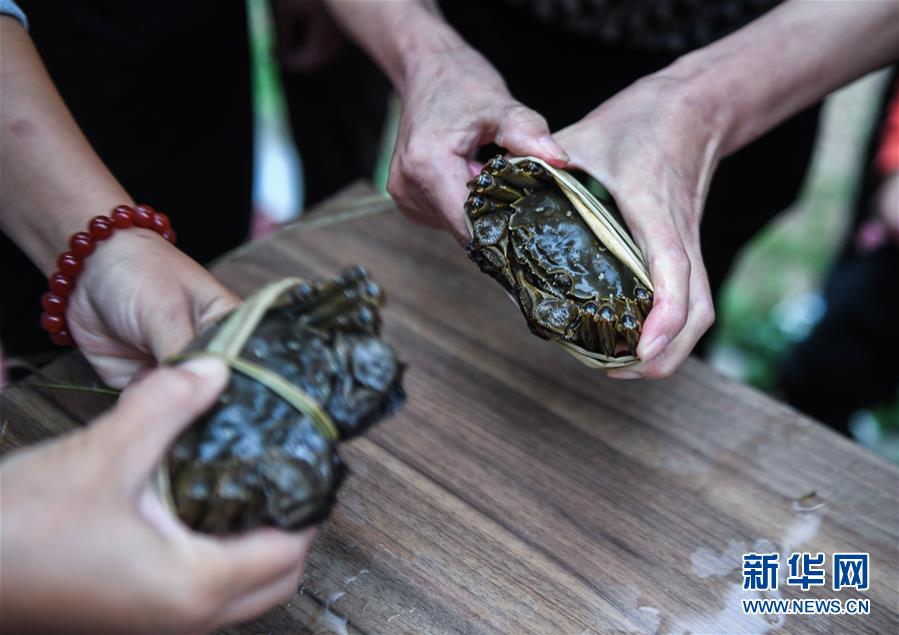 (社会)(3)金秋乡村“捆蟹赛”