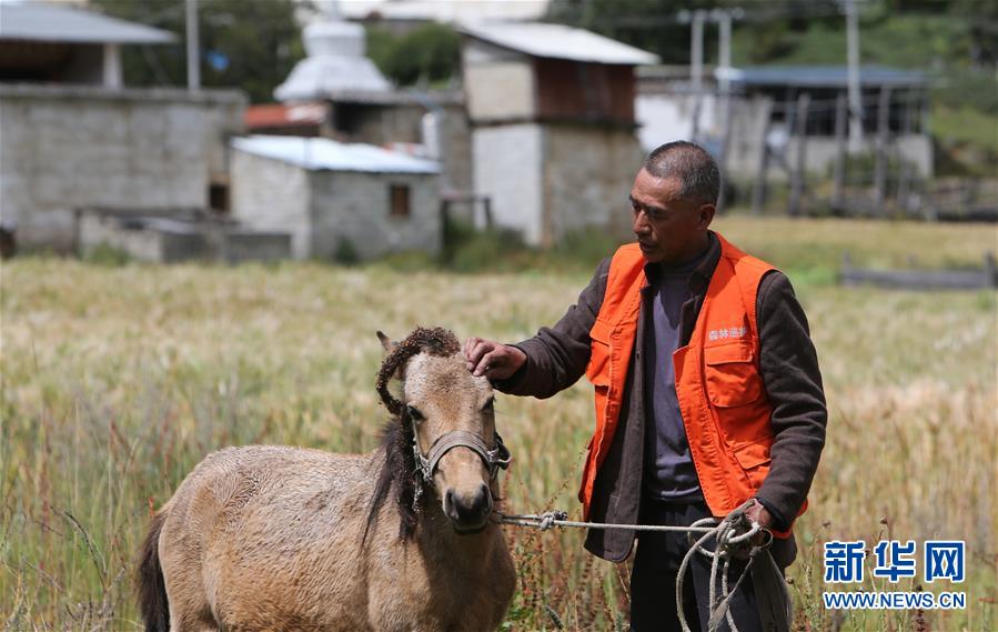 （新华全媒头条&middot;决战决胜脱贫攻坚&middot;图文互动）（4）为了人与自然和谐共生&mdash;&mdash;云南&ldquo;三江并流&rdquo;地区决战精准脱贫的&ldquo;生态画卷&rdquo;