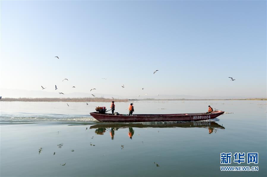 （经济）（2）新疆博斯腾湖池沼公鱼大丰收