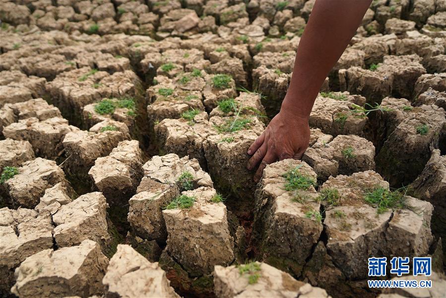 （农业）（4）江西多地出现旱情