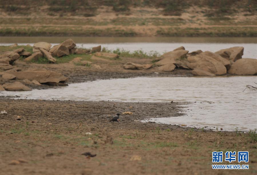 （国际）（1）津巴布韦因干旱面临食物短缺