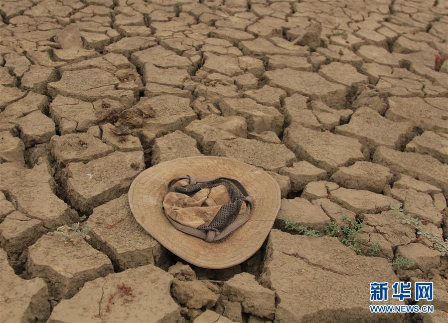 （国际）（4）津巴布韦因干旱面临食物短缺