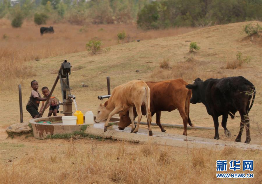 （国际）（5）津巴布韦因干旱面临食物短缺