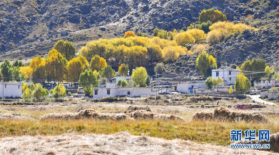 （美丽中国）（3）拉萨：楚布沟秋色美