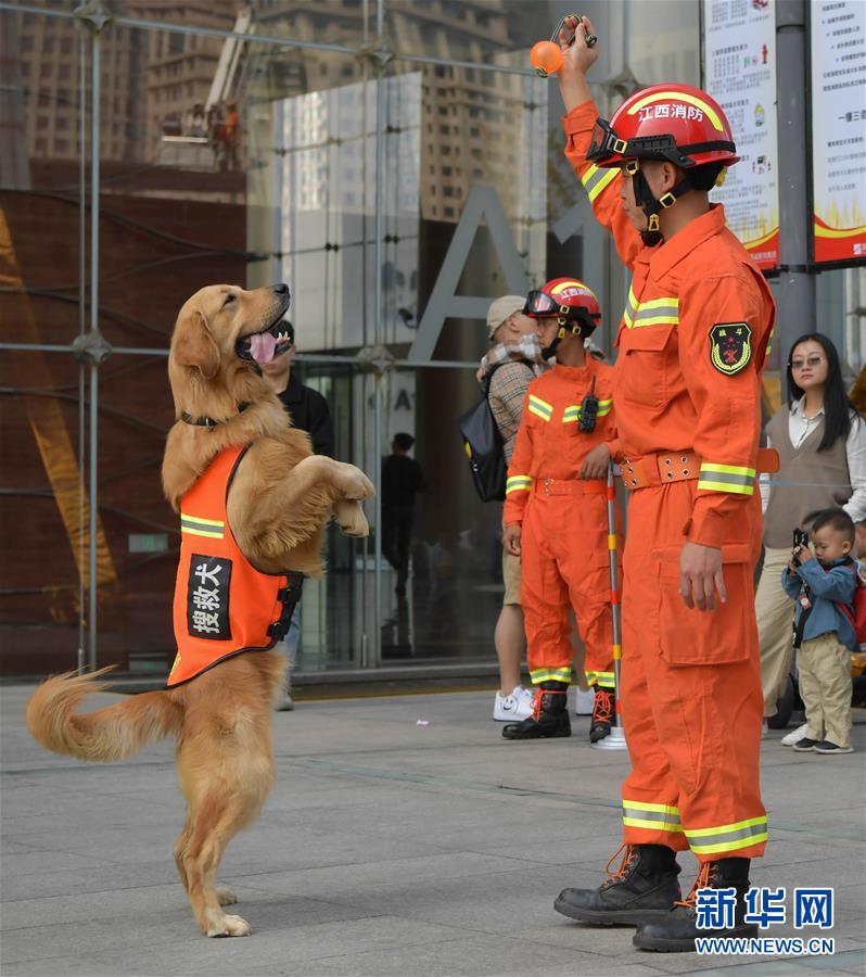 （社会）（1）江西省“119消防宣传月”活动正式启动