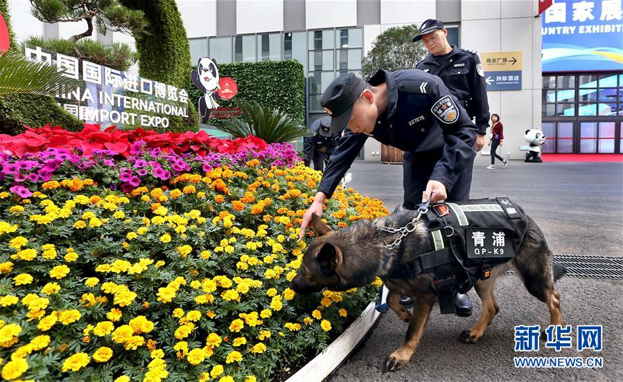 （第二届进博会）（1）警犬助力进博会保障工作