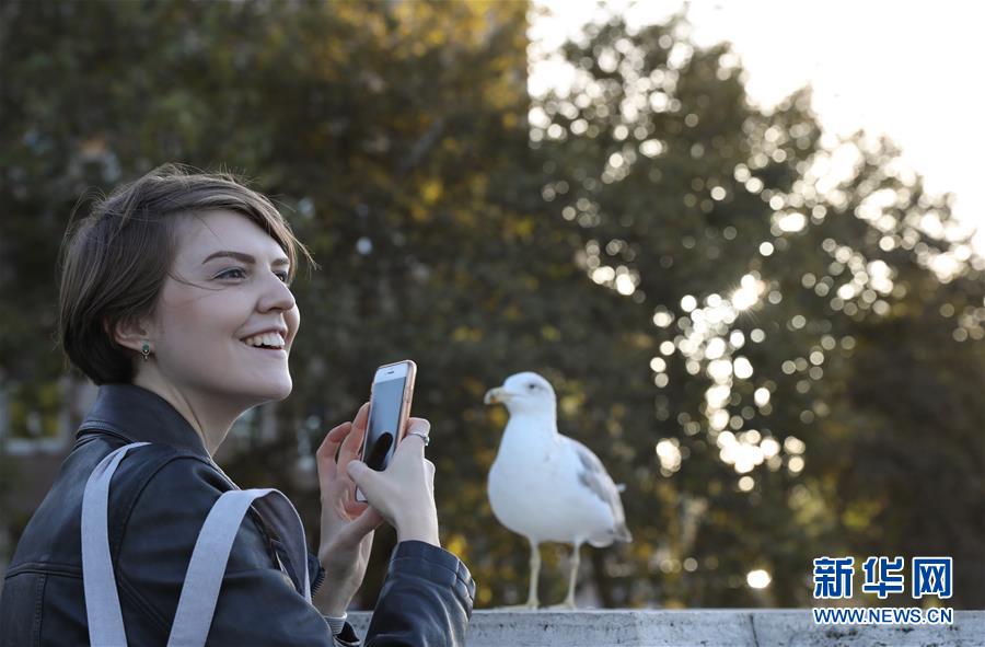（国际）（2）罗马秋色