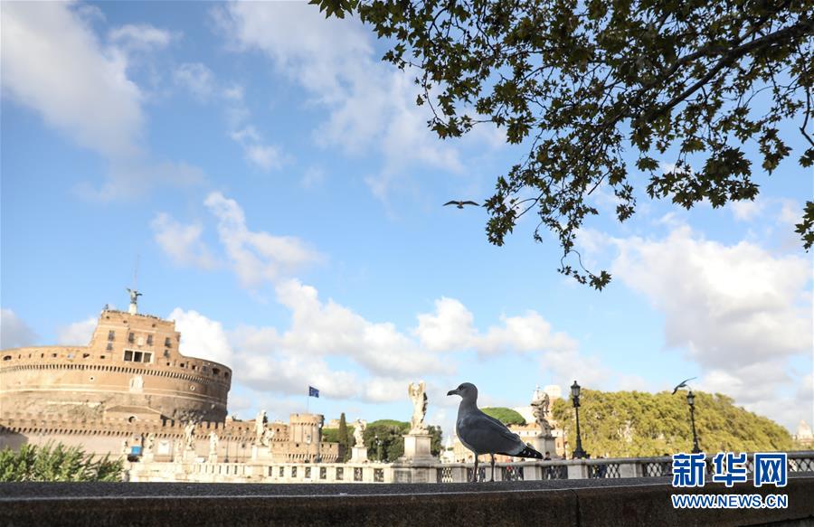 （国际）（8）罗马秋色