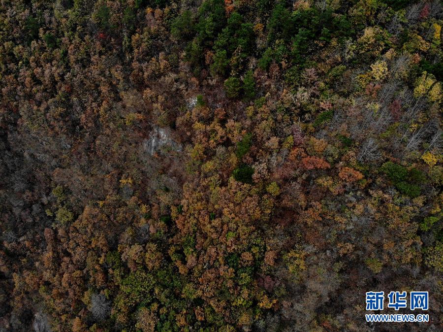 （环境）（2）安徽潜山：俯瞰大别山区