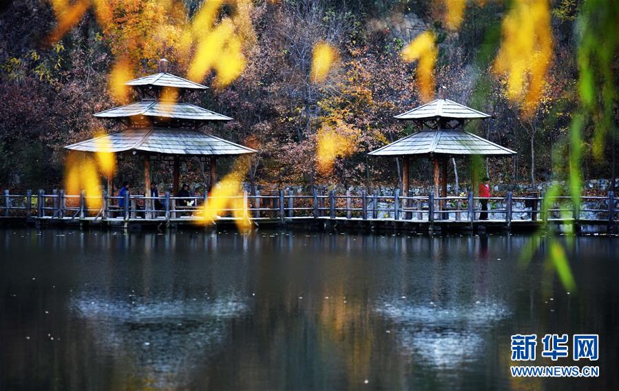 （美丽中国）（1）多彩秋色“绘”泉城