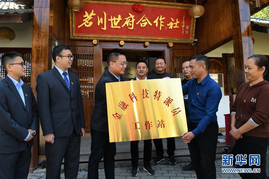 （经济）（6）福建武夷山：茶叶合作社打开致富门路