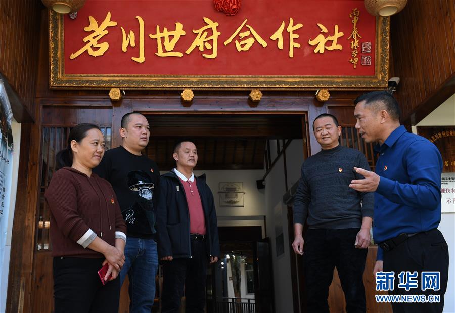 （经济）（7）福建武夷山：茶叶合作社打开致富门路