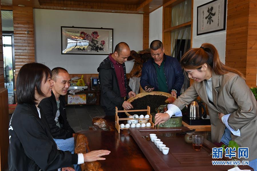 （经济）（8）福建武夷山：茶叶合作社打开致富门路