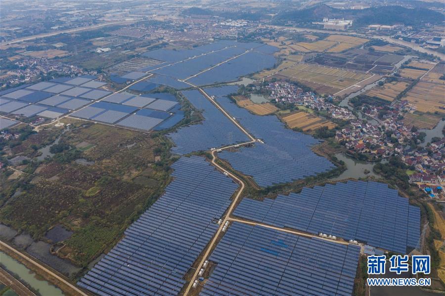 （经济）（1）浙江长兴：“渔农光互补”助力乡村振兴