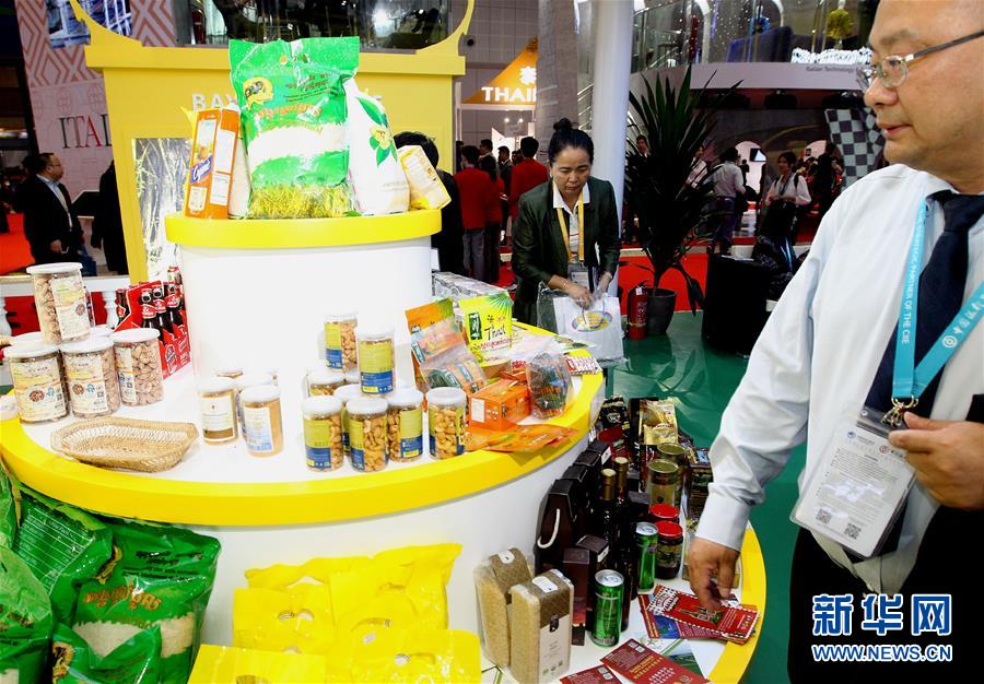 （第二届进博会）（22）走进主宾国国家馆