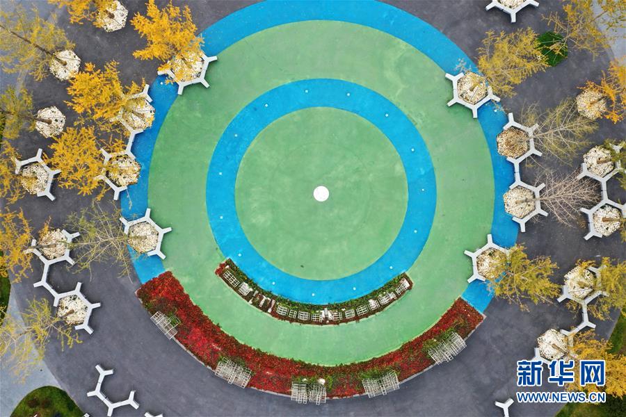 （环境）（4）雄安秋色