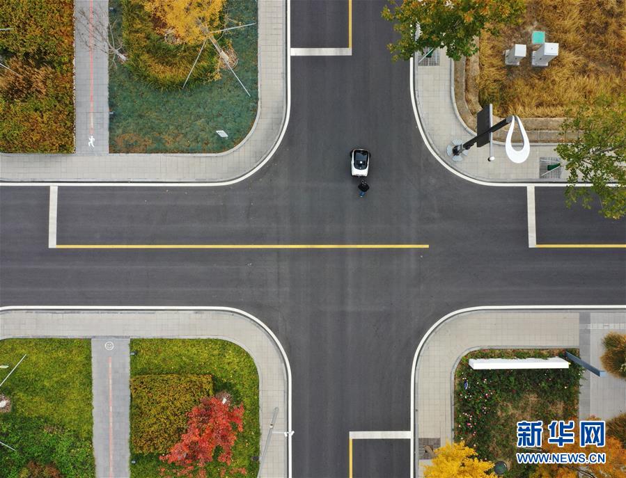 （环境）（7）雄安秋色