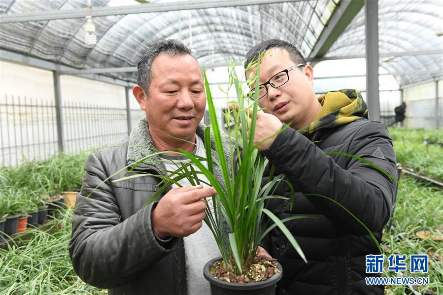 （图片故事）（2）浙江绍兴：&ldquo;兰四代&rdquo;的坚守