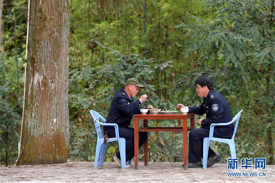 （图片故事）（2）守护深山三十载的&ldquo;兄弟档&rdquo;