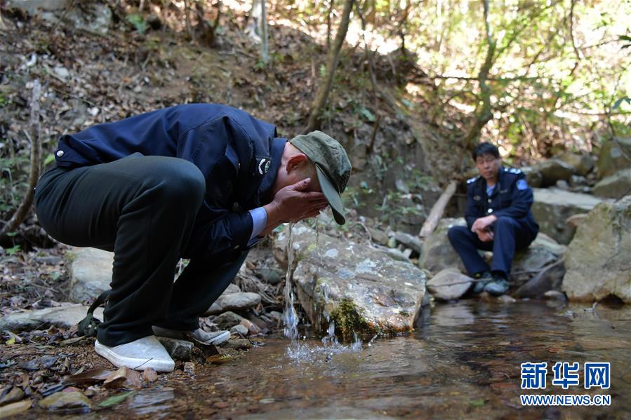 （图片故事）（4）守护深山三十载的&ldquo;兄弟档&rdquo;