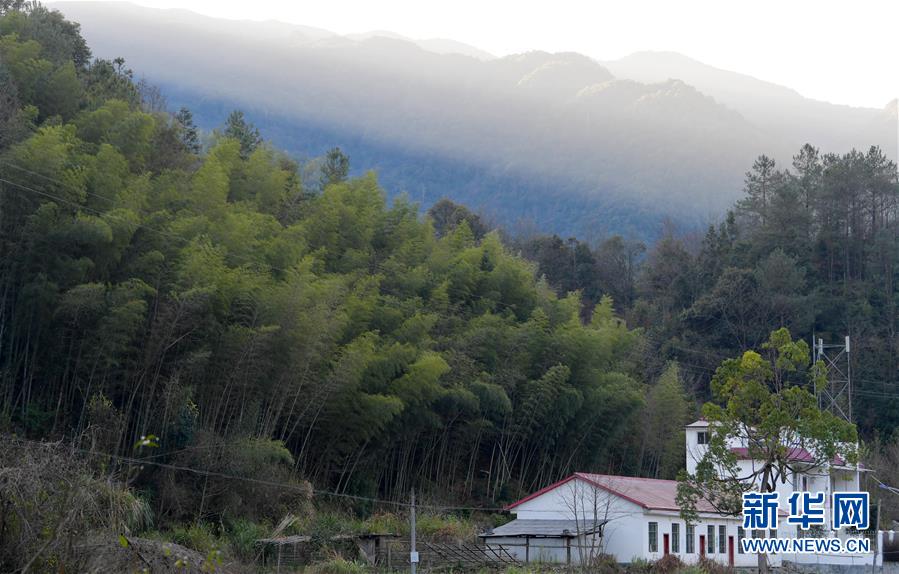 （图片故事）（6）守护深山三十载的&ldquo;兄弟档&rdquo;