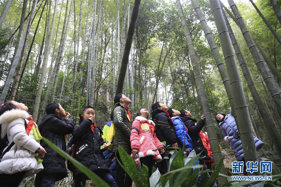 #（社会）（1）重庆北碚：“森林课堂” 约会大自然