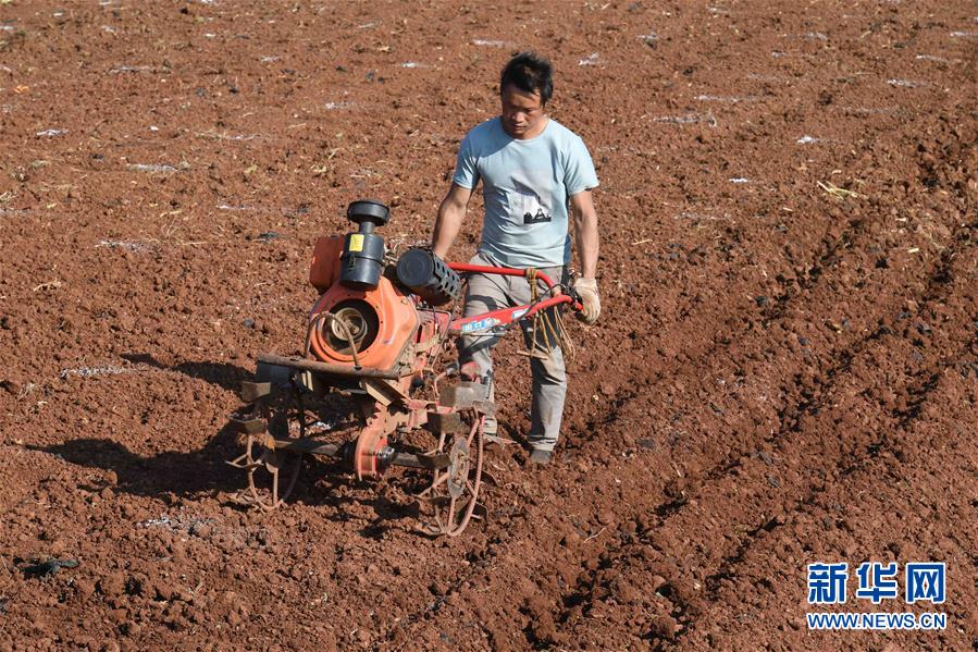 （经济）（4）云南沾益：农民春耕播种忙