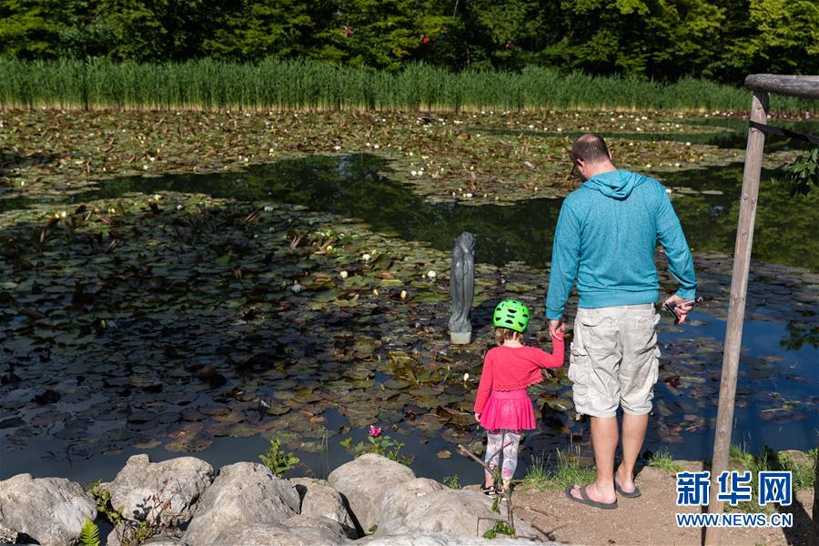 （国际疫情）（1）斯洛文尼亚进一步放松管制