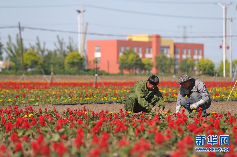（环境）（7）辽宁辽阳：改善人居环境 建设美丽乡村