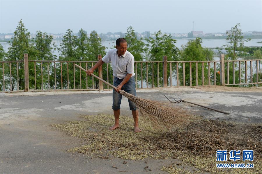 （防汛抗洪）（2）生活平稳有序——探访蒙洼蓄洪区庄台