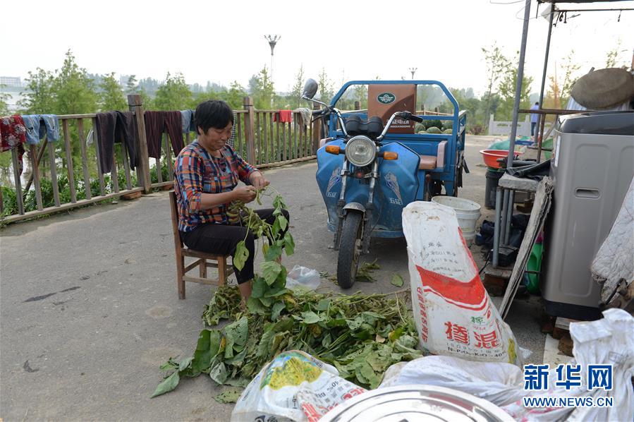 （防汛抗洪）（6）生活平稳有序——探访蒙洼蓄洪区庄台