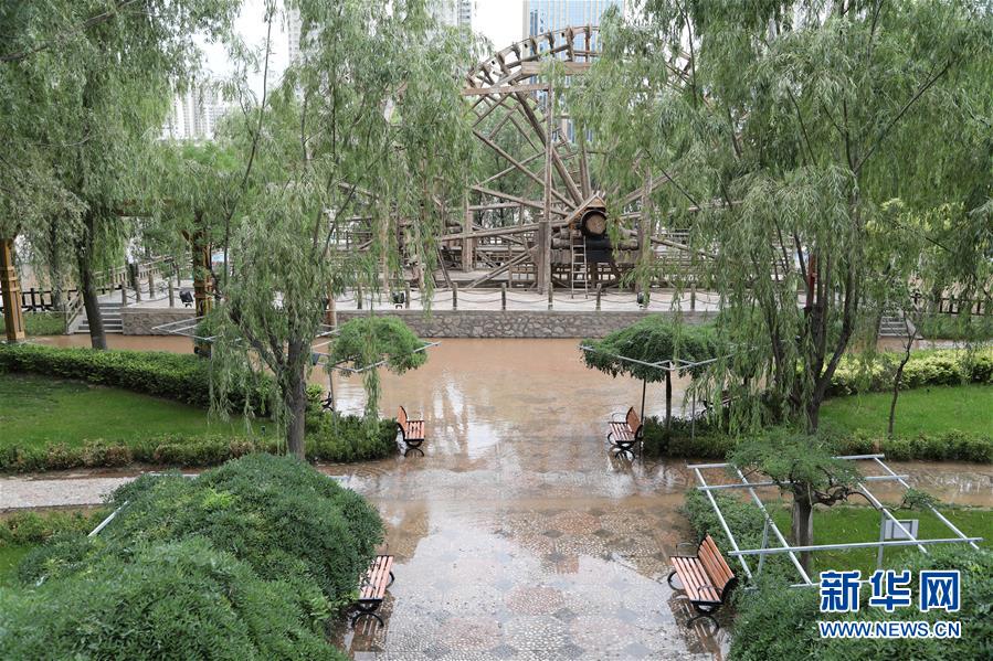 （防汛抗洪）（7）黄河出现2020年第2号洪水