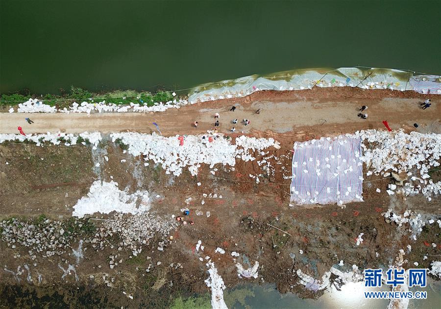 （防汛抗洪）（1）给堤坝做CT——博士团的科技防汛