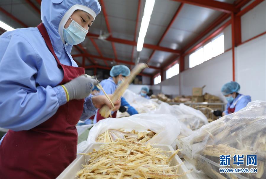 （落实“六稳”“六保”一线见闻）（2）辽宁东港：鱼产品加工生产平稳